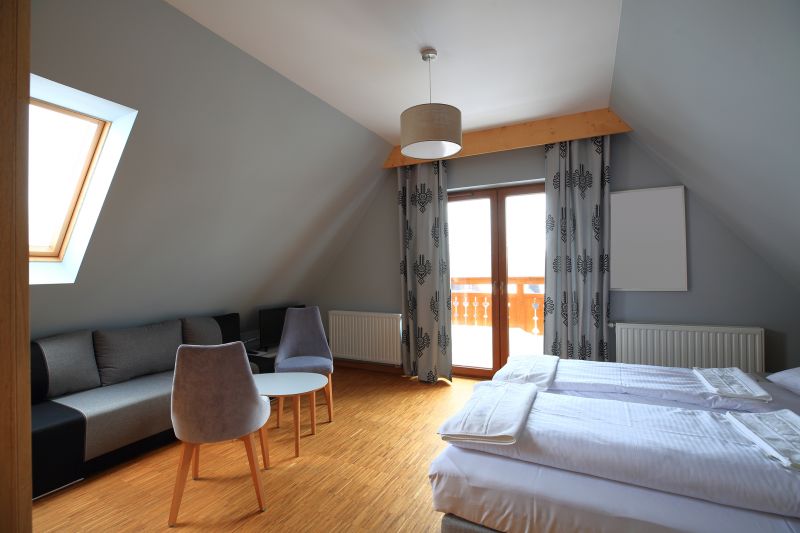Attic with Skylights